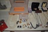 Selection of Ladies Costume Jewelry