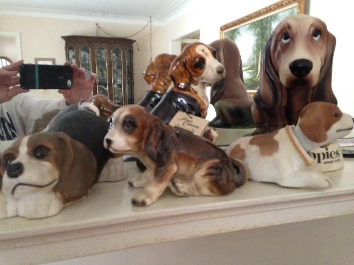 puppy collection
