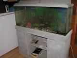 50 gallon fish tank, stand, and accessories