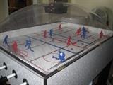 Domed hockey game