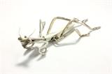 Lot #270 Luna Park silver bronze Praying Mantis