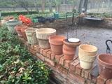 pots and planters