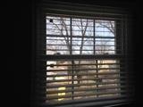 Additional Home Depot wood blinds, can be cut to fit most windows. 