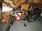 Schwinn Racer Omni 191 CL RST men's bike