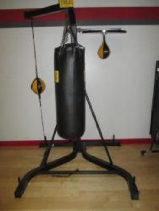 Dual Station Everlast 70 lb. Punching Bag & Speed Bags
