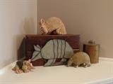 Armadillo collection