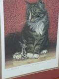 Cat Collection