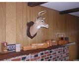 Longaberger baskets and mounted deer head