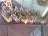 QUACK! QUACK! Ann trained hunting dogs. That probably explains the flock of Mallards.
