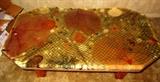 coffee table with sea theme of nets, shells and sea fans under fiber glass
