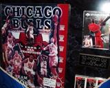 chicago bulls