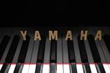 A54 #14 Yamaha 7’6” Model C7 1991 Conservatory Black Hi Gloss Grand Piano with DiscLaver Digital player working *few scratches on top* #F4970447 Condition of 9/10