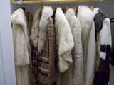 VARIOUS FURS