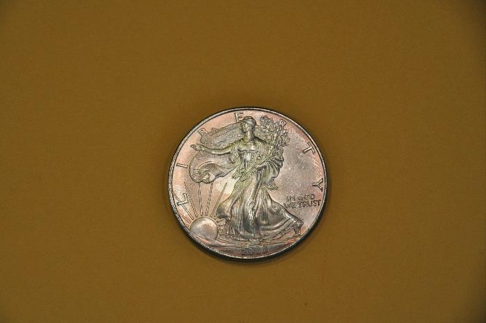 Silver Liberty Eagle Silver Dollar (2000)