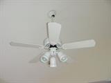 Fans throughout the house