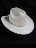 Another Great New cowboy Hat
