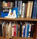 A Great Collection of books on African American Culture, Black History and Race Relations