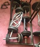 A variety of Curl Bars and Weights, Free Weights in the lower level