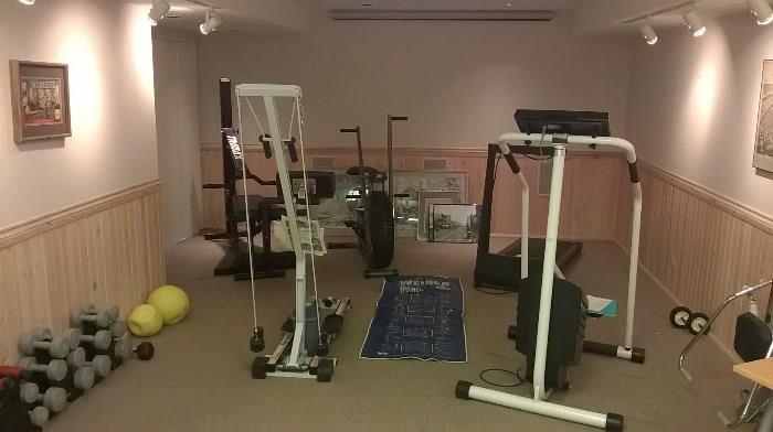 Need to create your own home gym?  Stairmaster, treadmill, stationary bike, rowing machine, cross country ski glider, set of weights, workout bench and more.  Versaclimber in another photo.  Everything priced to move!