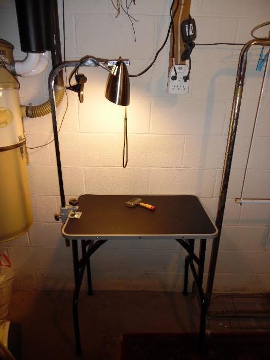 Dog Grooming Table with light