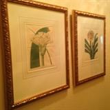 19th Century Botanical Prints (Pair)