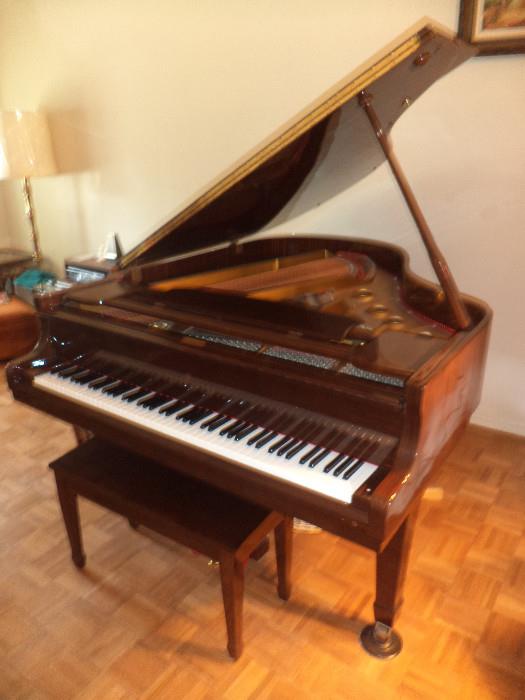 Young Chang Grand Piano