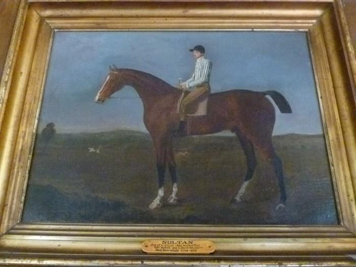 Painting of Sultan