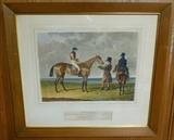Many antique hand tinted equestrian prints.