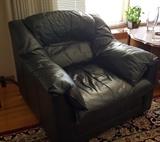 Blue Leather Arm Chair