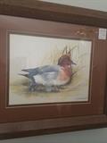                  Framed wild duck print