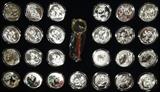 Silver Coins, 25 total, >999 Silver 1oz Coins, Pand Bear Coins