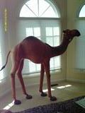 Leather camel 60" x 65"