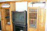 Lighted Oak Entertainment Center, Television