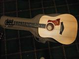 Robert Taylor Guitar 307-GB with Case