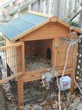 Outdoor Rabbit Cage