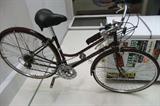 Schwinn Bike