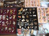 Fun Jewelry. Pin & Earring sets,etc.
