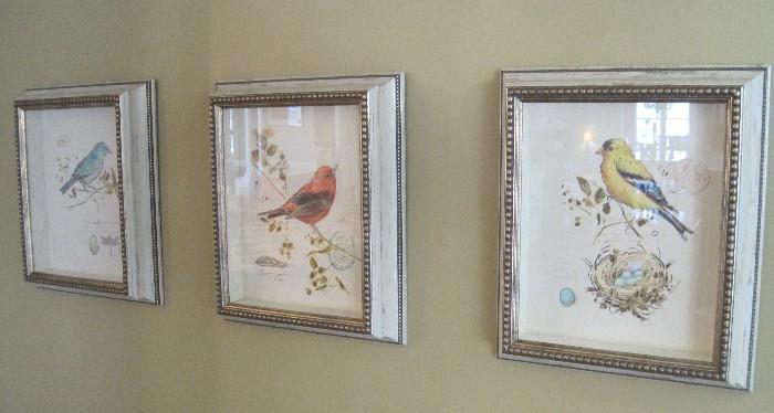 Set of framed bird prints.