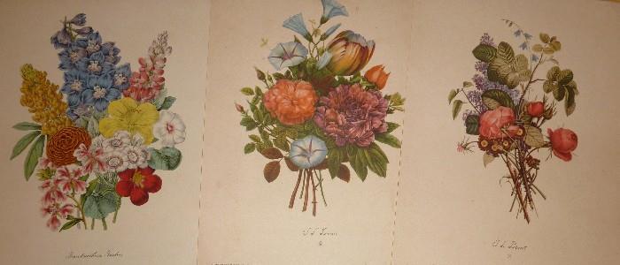 Grandmother's Garden Floral Print by C. Junceau, Dobbs Ferry, N.Y.,                                                              T.L.Prevost Realism Floral Lithograph Prints