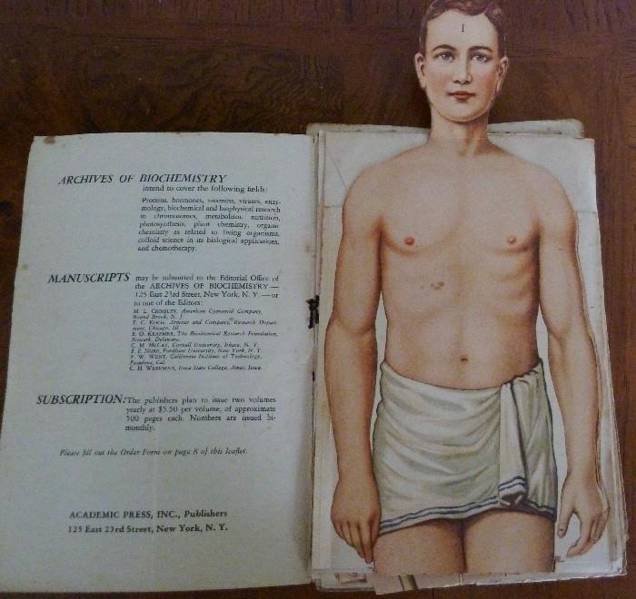 Volume 1 Archives of Biochemistry "Human Body Diagram"
