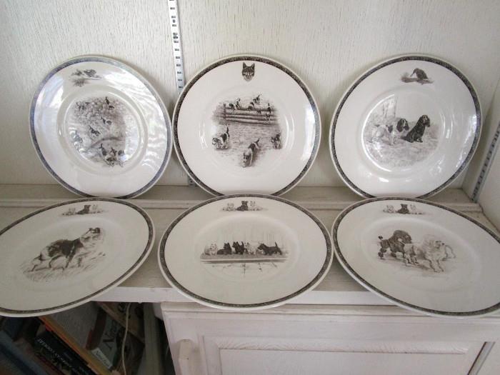 WEDGWOOD DOG PLATES