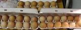 From our chicken house to your kitchen fresh brown eggs
