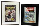 2 Pc. Silver Age Framed Comic Lot, First Issues