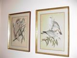 Gould and Richter bird prints, hand-colored printed by Hullmandel and Walton