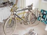 Western Flyer bike + Sears Boy's bike