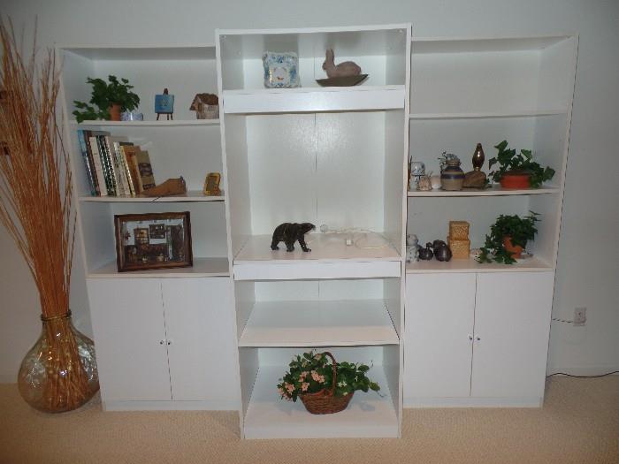 very nice book cases and room for display