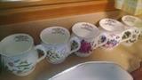 FLOWER OF THE MONTH CUPS