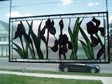 Large Stained Glass Panel of Iris, Edwin Jameson