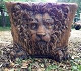 large four sided lion planter