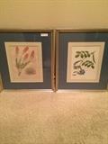                  Two of several framed prints